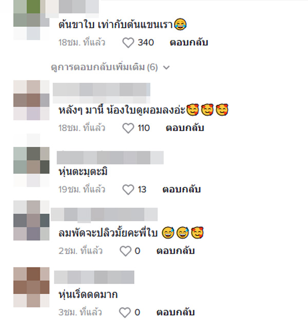 ใบเฟิร์น เข้ายิม