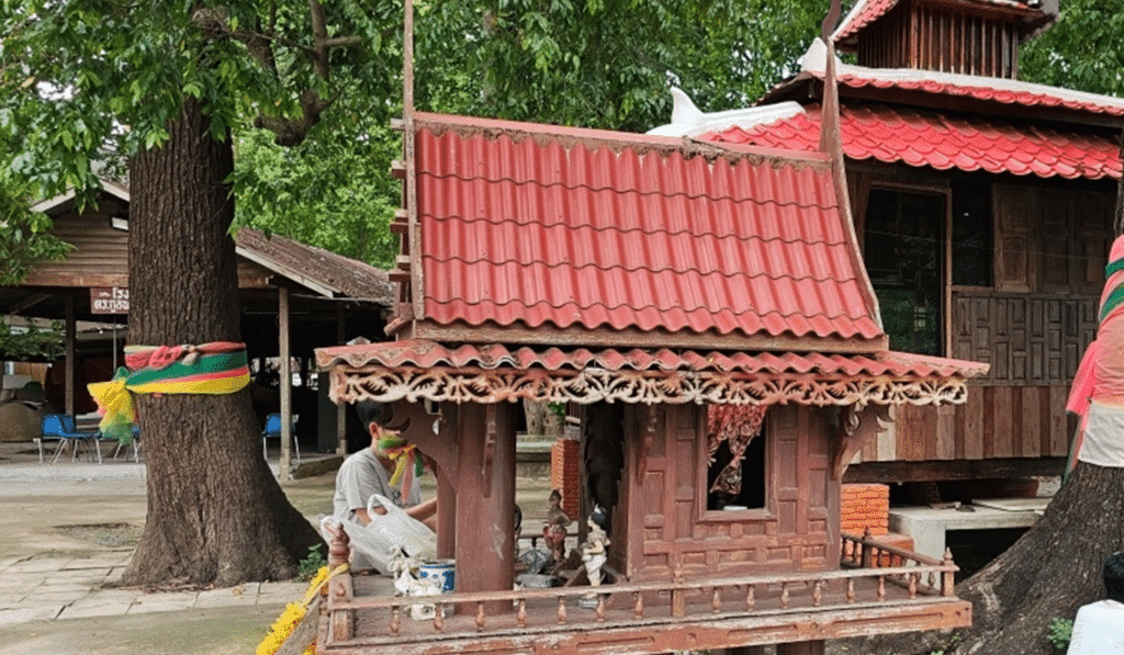 เลขเด็ดต้นตะเคียน