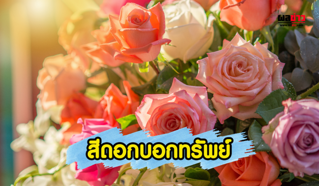 สีดอกบอกทรัพย์