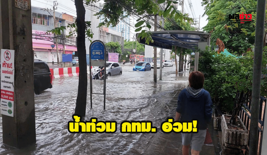 น้ำท่วม ฝนถล่ม