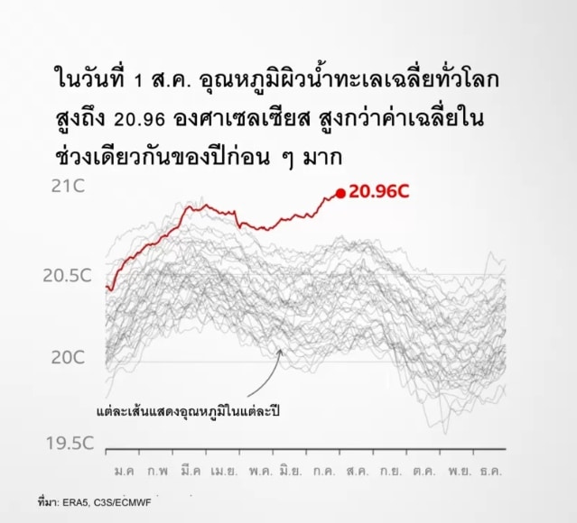 อุณหภูมิมหาสมุทร