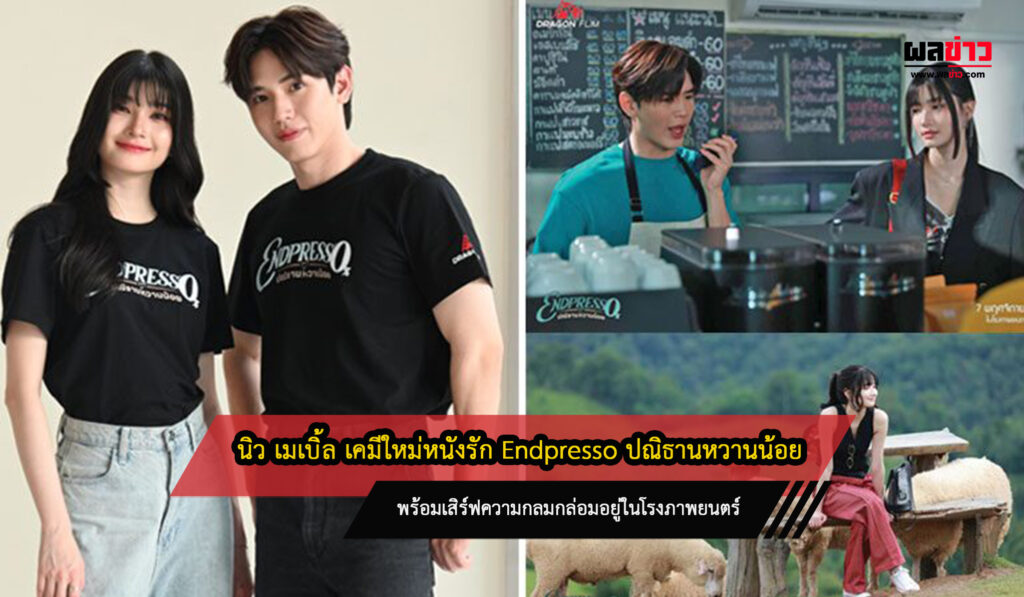 นิว เมเบิ้ล