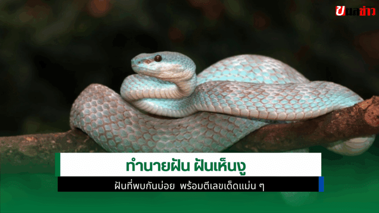 ทำนายฝัน