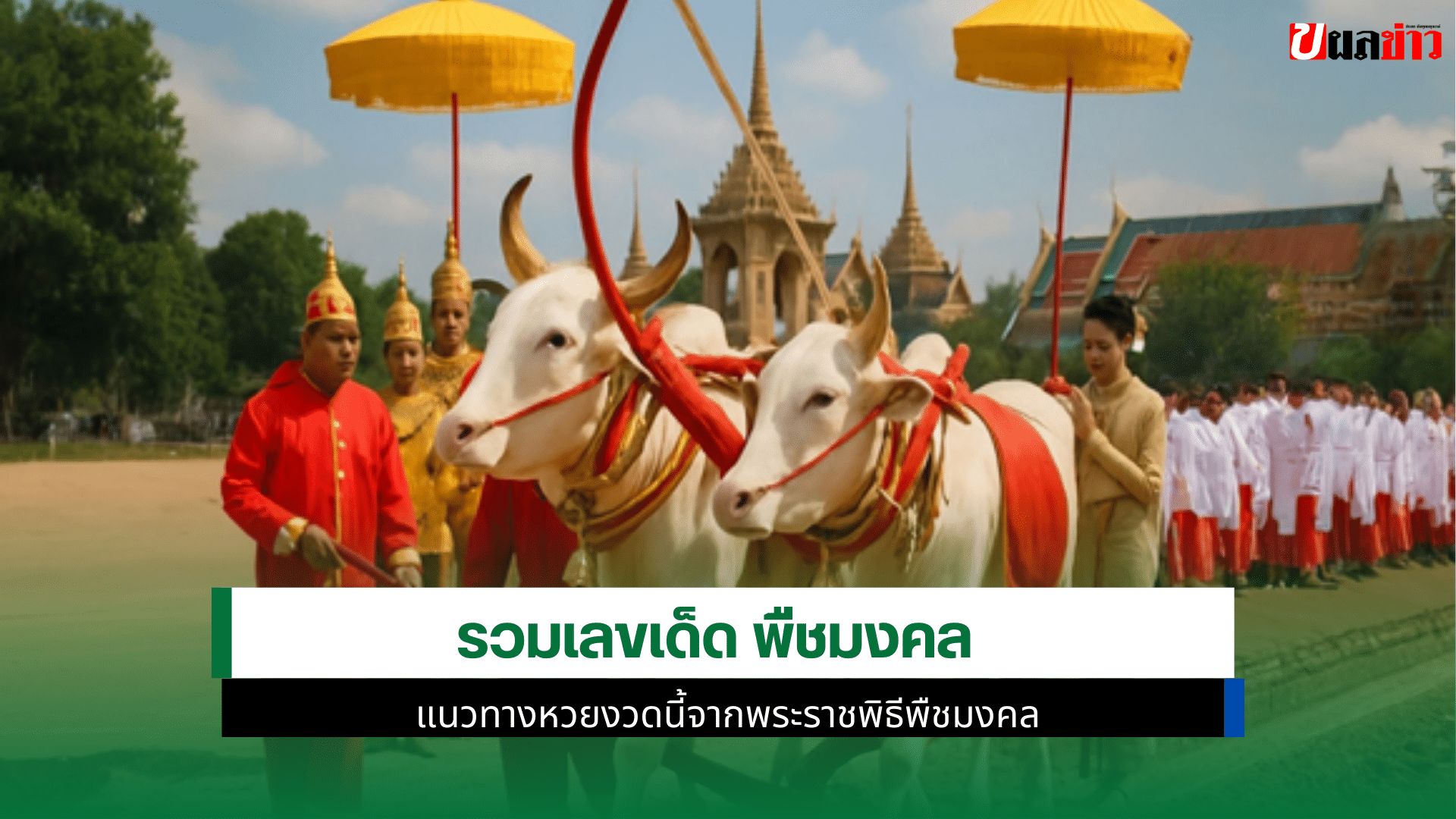 เลขเด็ด พืชมงคล
