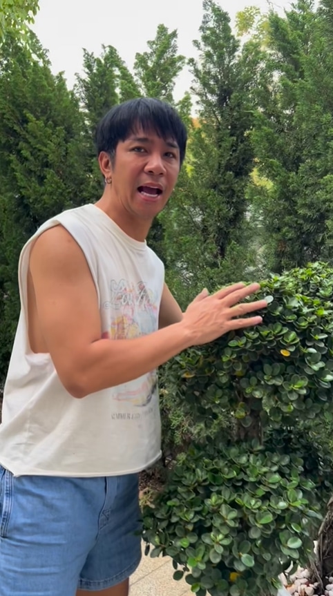 ก้อง ห้วยไร่