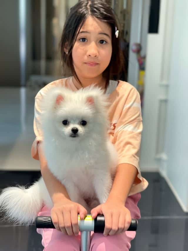 คลิปน่ารัก น้องมายู