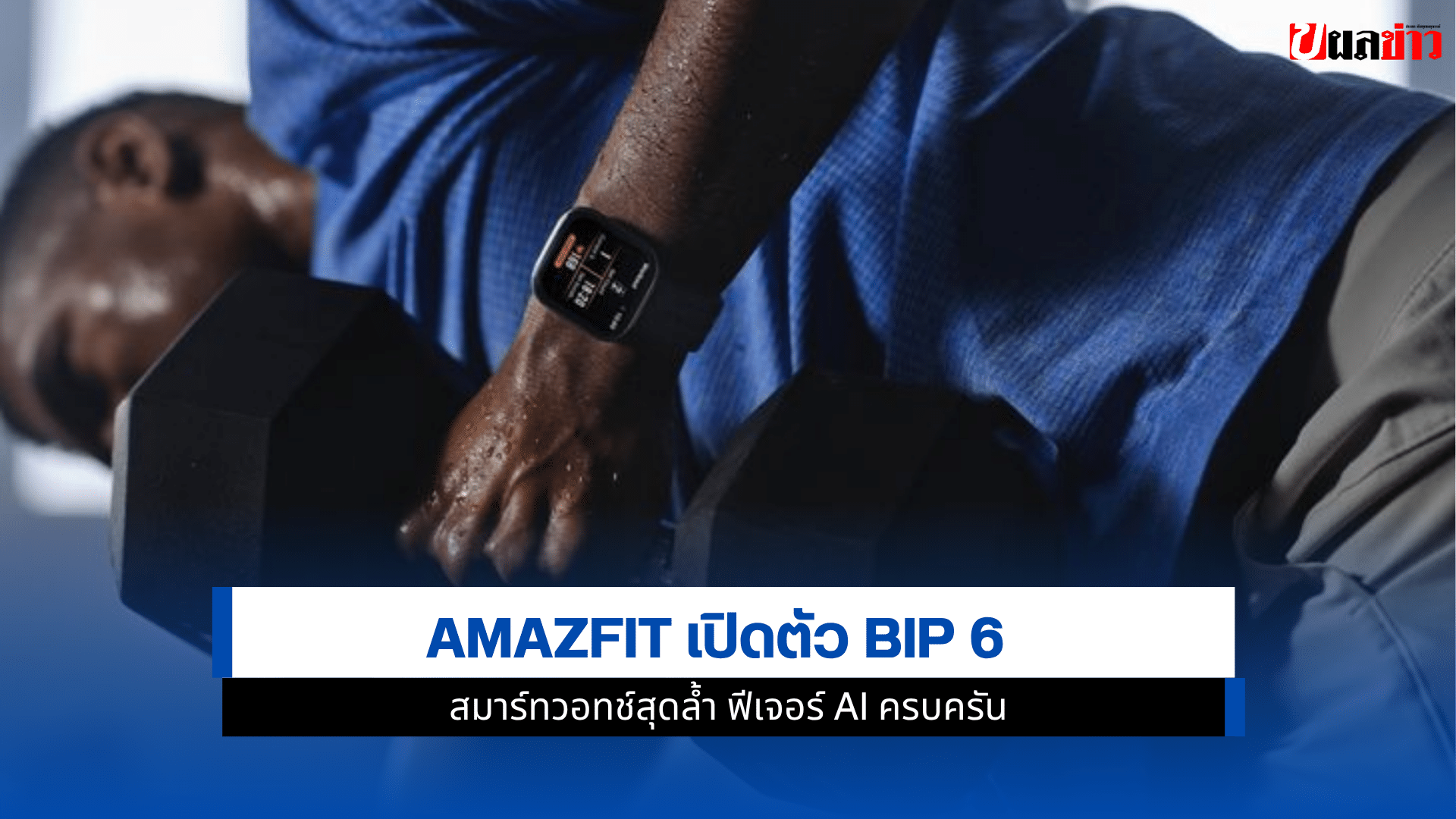 Bip 6