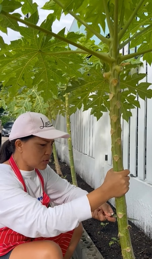 สุนารี เผยวิธี