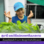 สุนารี เผยวิธี