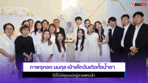 ภาพจุกอก นนกุล