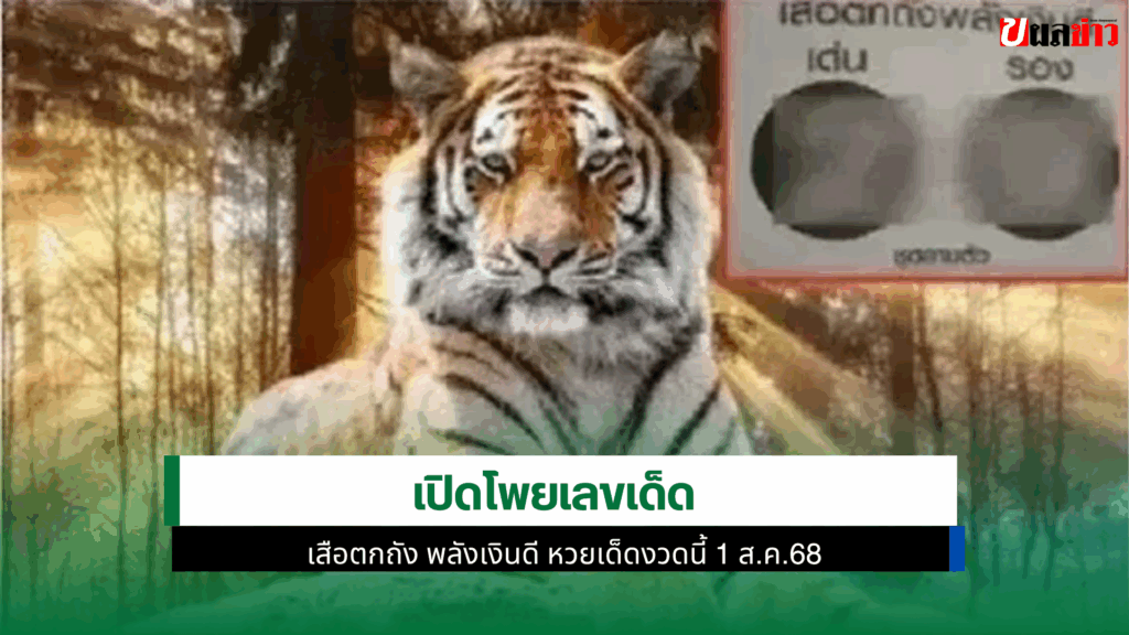 เสือตกถัง พลังเงินดี