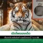 เสือตกถัง พลังเงินดี