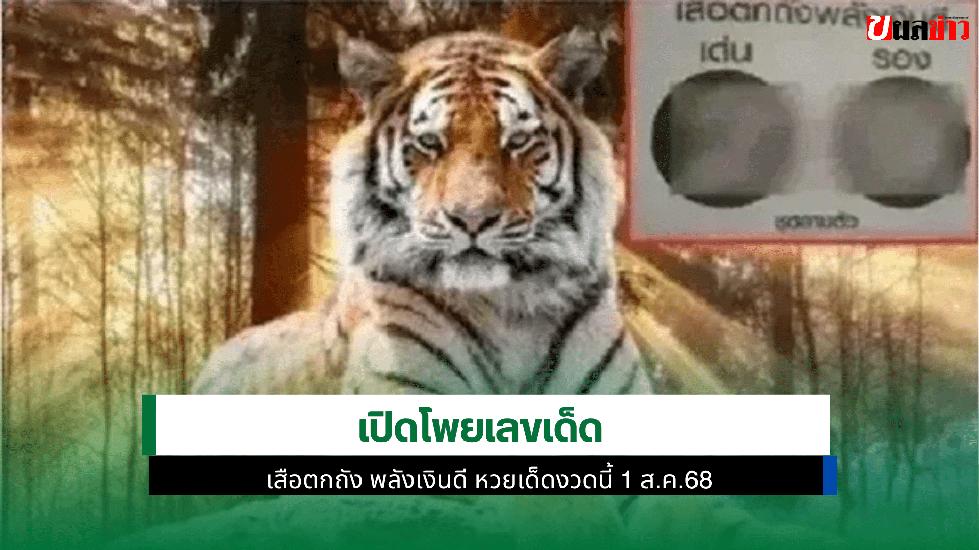 เสือตกถัง พลังเงินดี