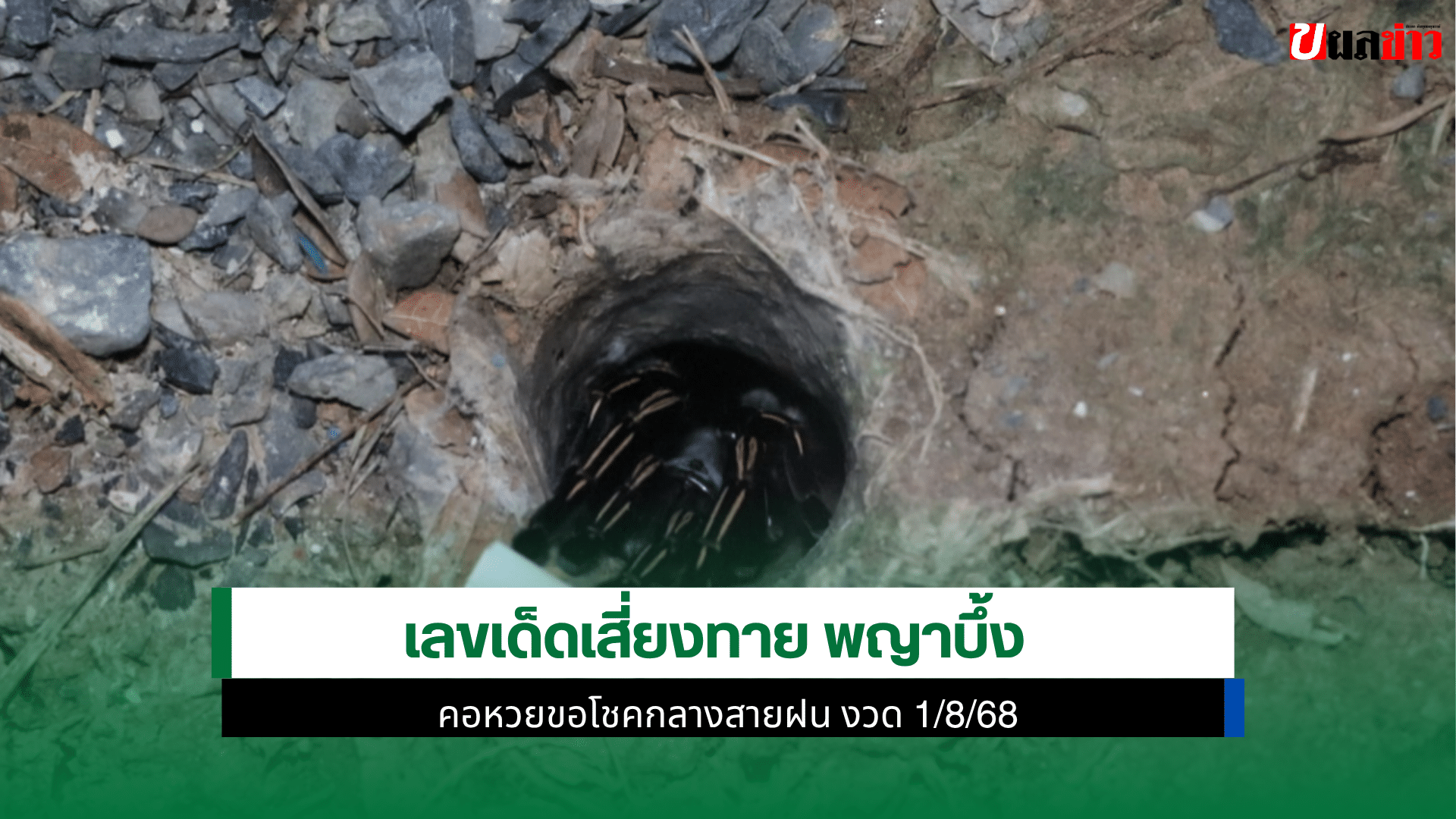 พญาบึ้ง