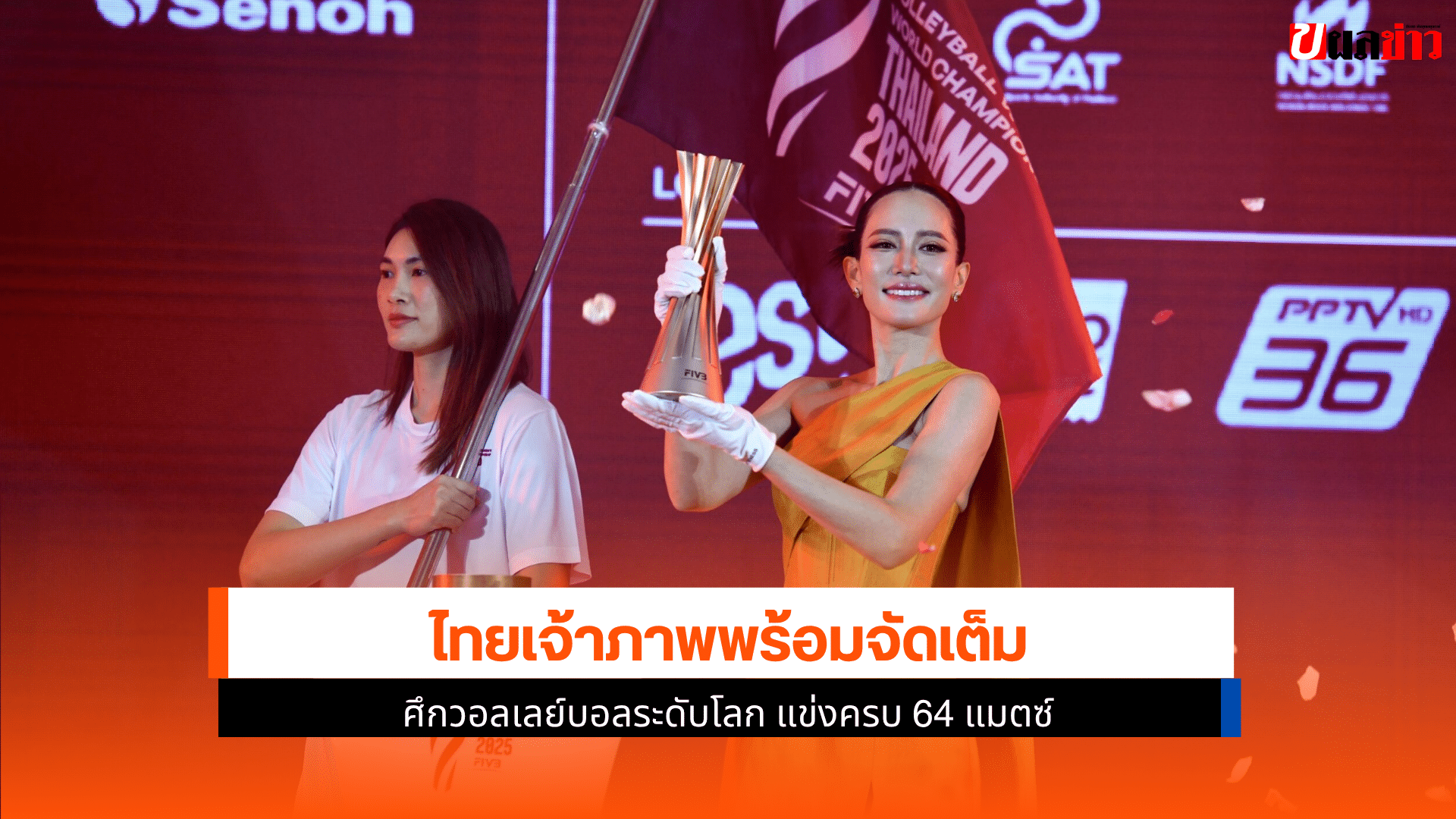 วอลเลย์บอล