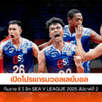 โปรแกรมวอลเลย์บอล