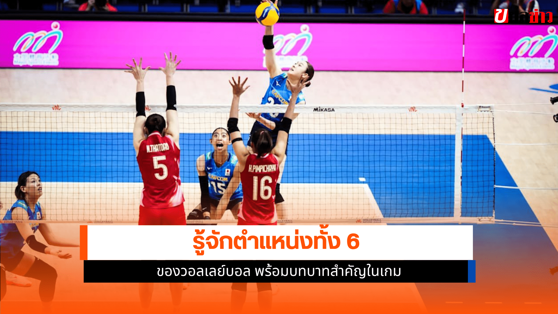 วอลเลย์บอล