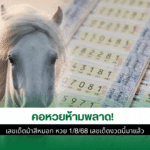 เลขเด็ดม้าสีหมอก