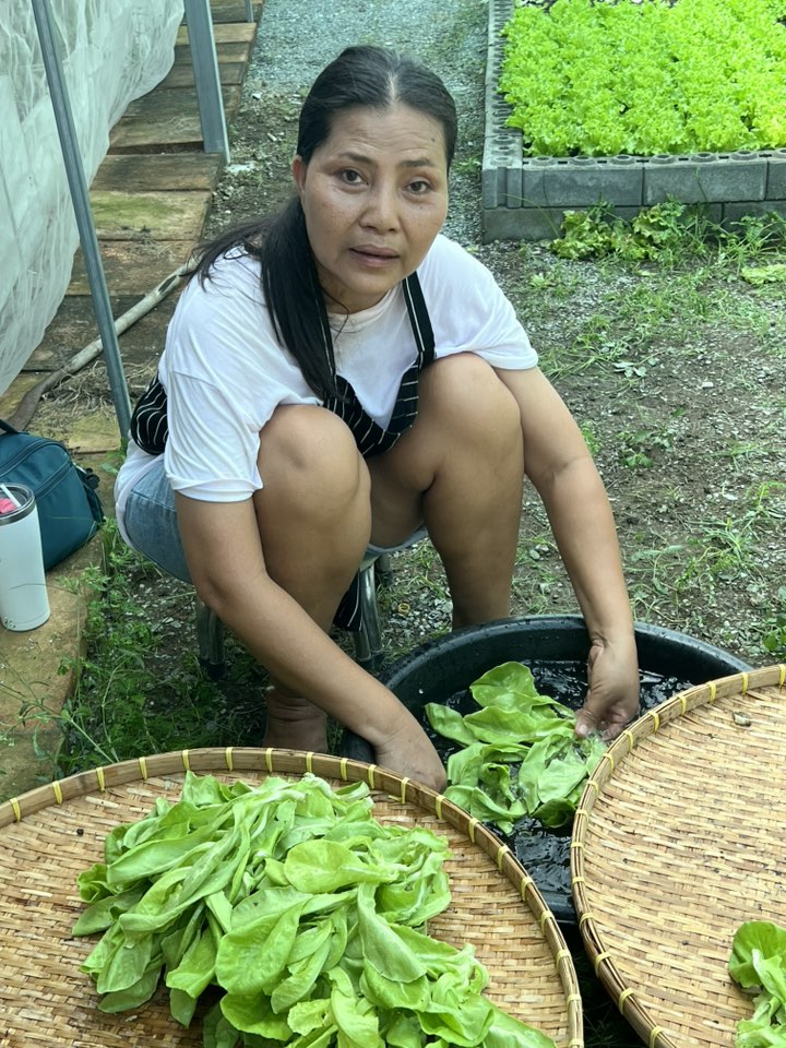เกือบไม่รอด สุนารี