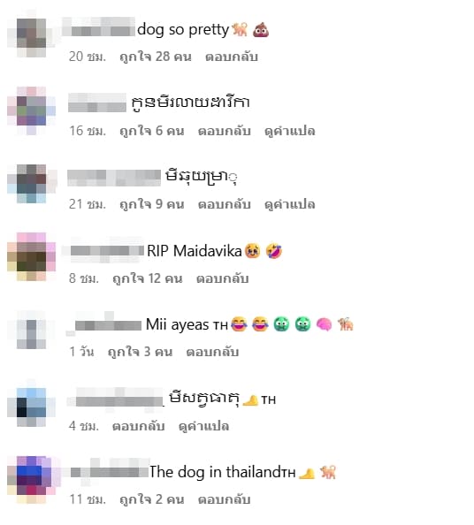 ใหม่ ดาวิกา 5 ข้อสงสัย