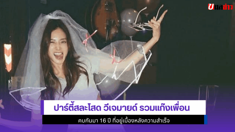 ปาร์ตี้สละโสดวีเจมายด์