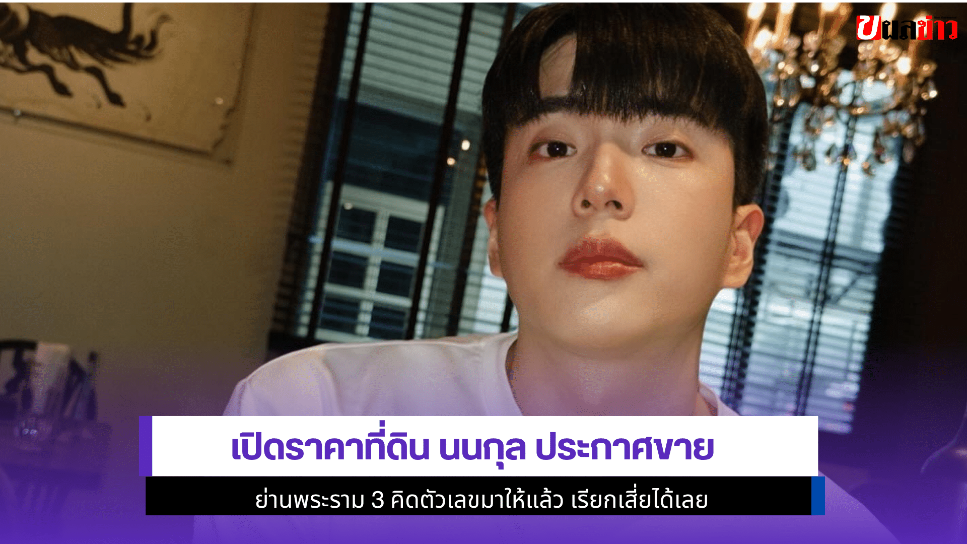 เปิดราคาที่ดิน นนกุล
