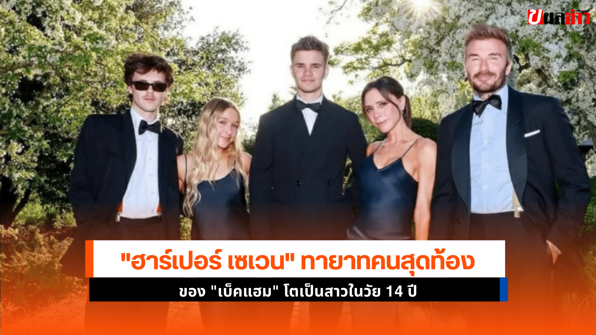 ฮาร์เปอร์ เซเวน