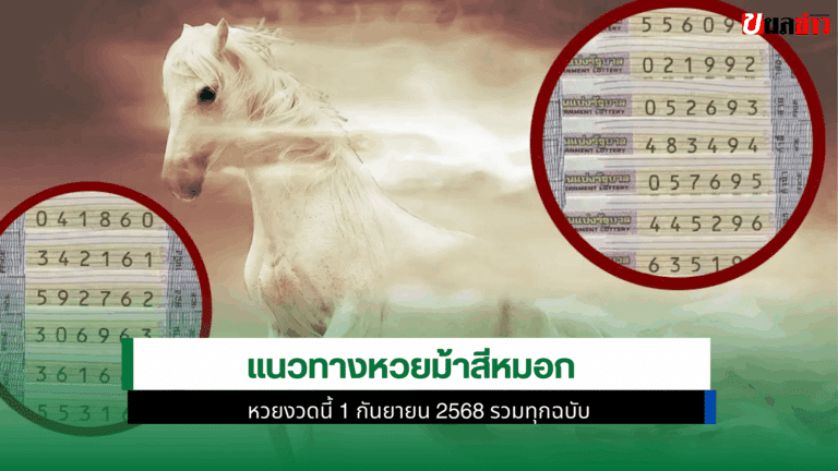 แนวทางหวยม้าสีหมอก งวดวันที่ 1 กันยายน 2568 คอหวยห้ามพลาด
