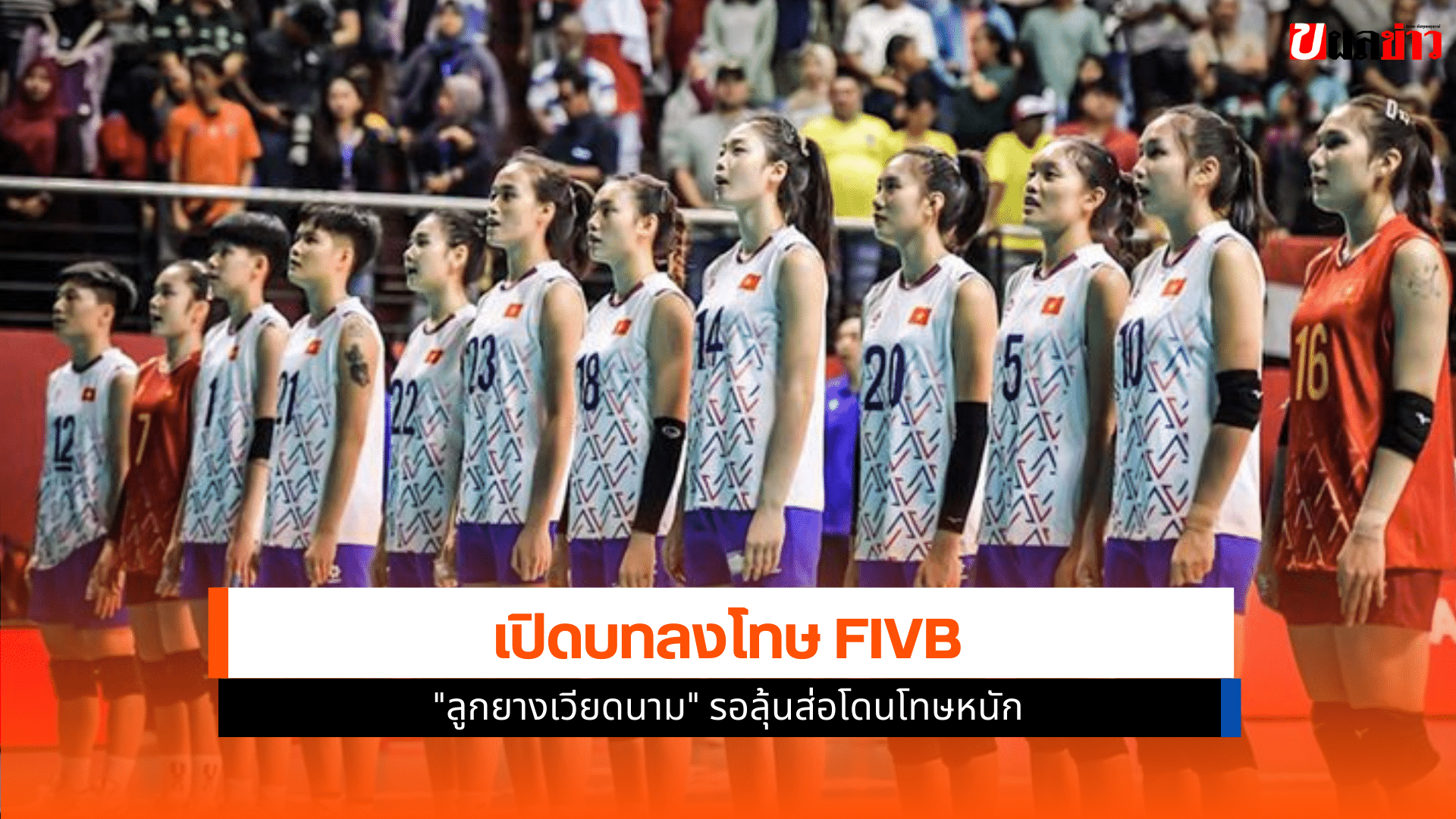 ลูกยางเวียดนาม