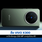 vivo X300