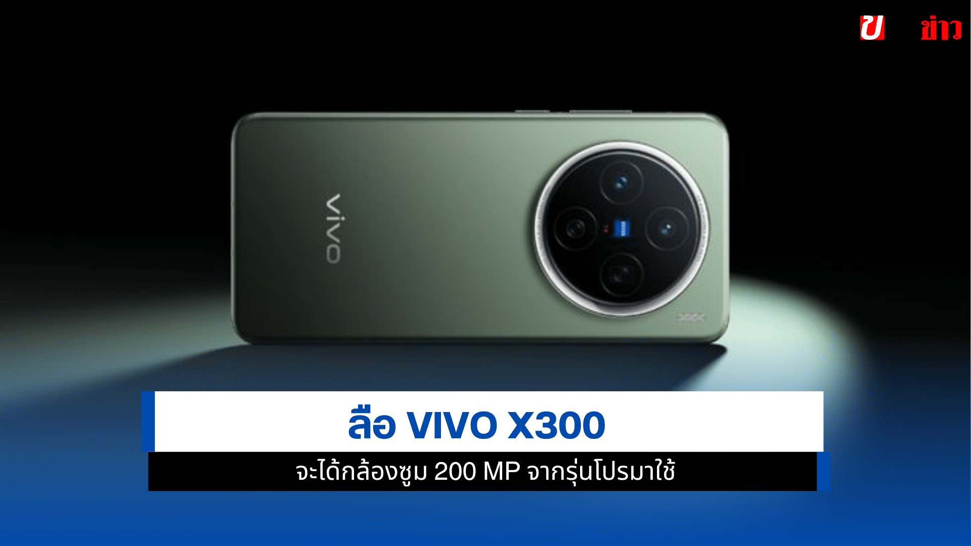 vivo X300