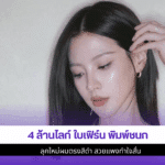 4 ล้านไลก์ ใบเฟิร์น