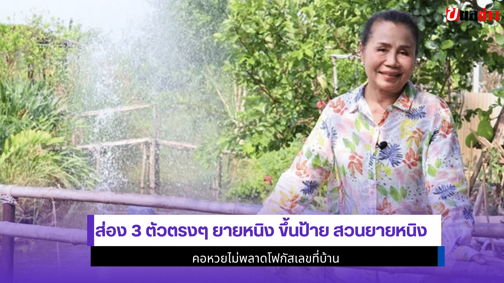 ยายหนิง ขึ้นป้าย