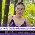 แมท ภีรนีย์ โพสต์ขาย