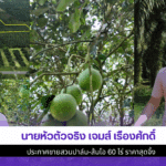 นายหัวตัวจริง เจมส์