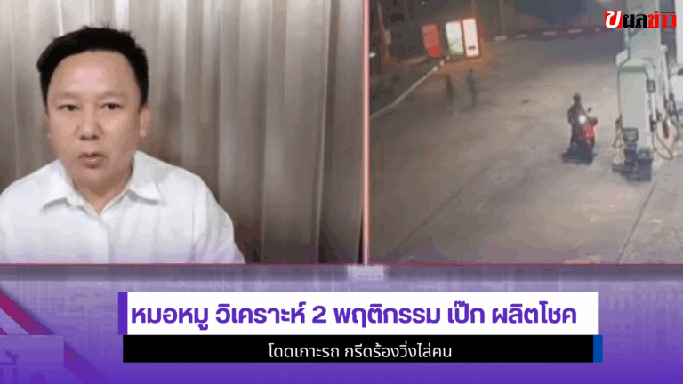 หมอหมู วิเคราะห์