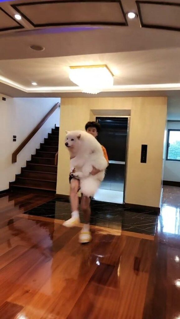 บิ๊ก อชิรพล