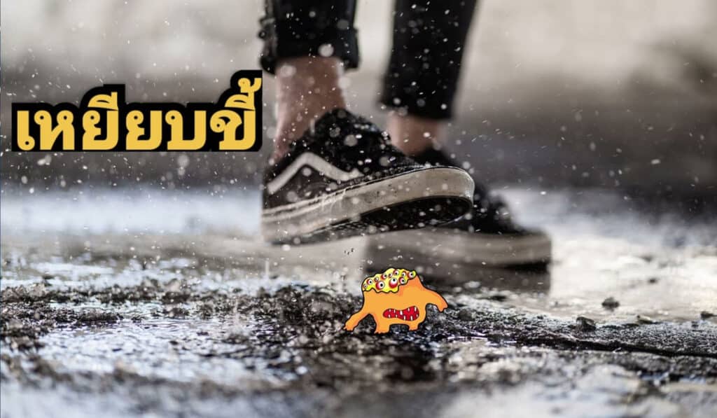 ฝันว่าเหยียบขี้