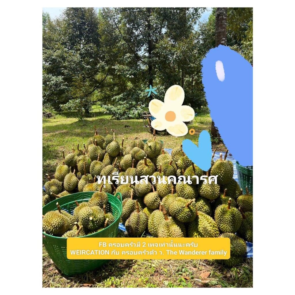 เวียร์ ศุกลวัฒน์