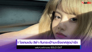 กระเป๋ามะเขือเทศของ lisa