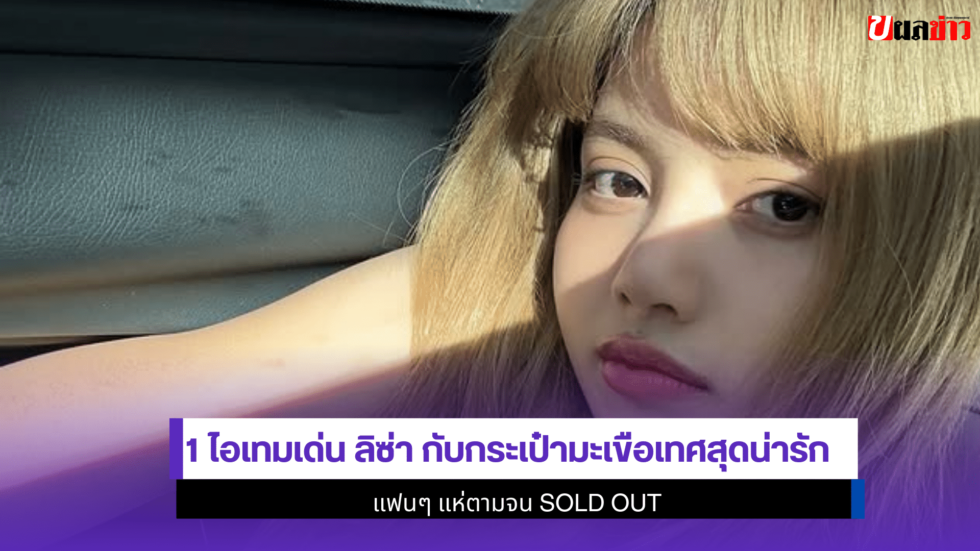 กระเป๋ามะเขือเทศของ lisa