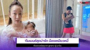 น้องเหมียวหมี่