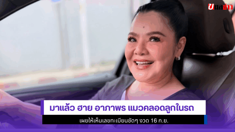 ฮาย อาภาพร แมวคลอดลูกในรถ เผยให้เห็นเลขทะเบียนชัดๆ งวด16ก.ย.
