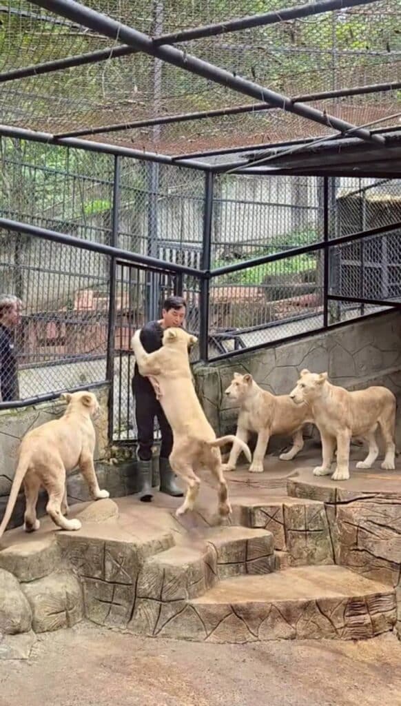 ภูผา เตชะณรงค์