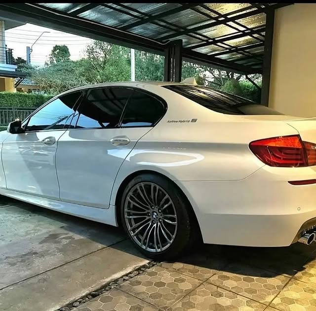 ซาร่า คาซิงกินี