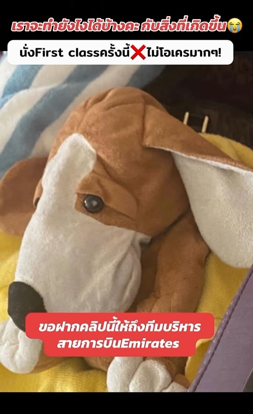 กระแต ปล่อยโฮ