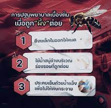 Kanchai