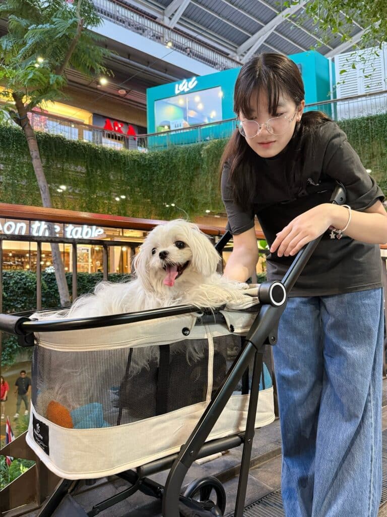 ดราม่า น้องวันใหม่