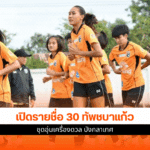ทัพชบาแก้ว
