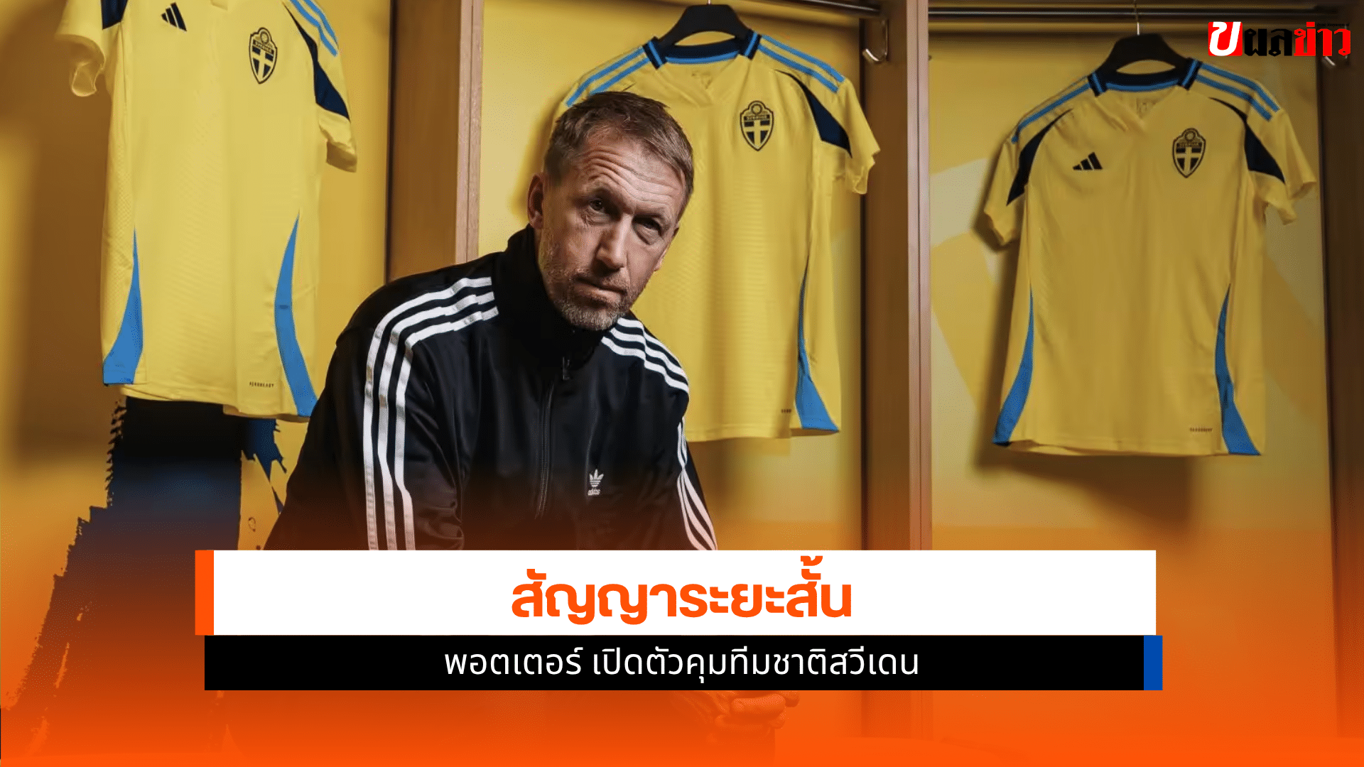 ทีมชาติสวีเดน